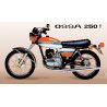 OSSA COPA TE 250 PEPSI FUEL TANK