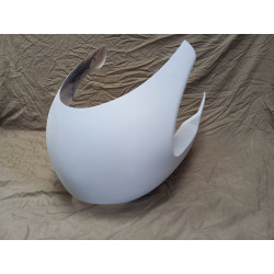 DUCATI PAUL SMART FAIRING